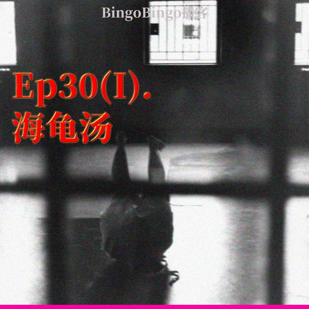 Ep30(I).海龟汤：青松山第三医院值班护士守则 episode artwork