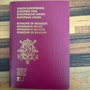 Visa中国人一生之痛