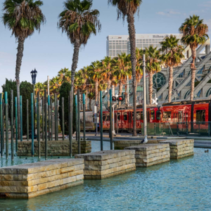 171 美国景观设计师 玛莎·施瓦茨1