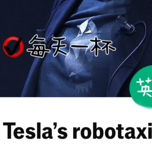 【202】Robotaxi会是特斯拉的王炸吗？