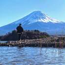 七域