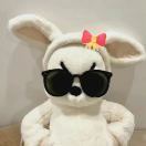 zy_ZxaL
