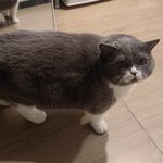 我说句公道话