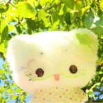 焦虑土豆