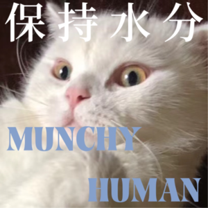 11. 我这辈子是离不开猫了 don’t mess with cat