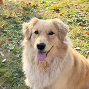 Vol08.你为什么非要/不结这个婚