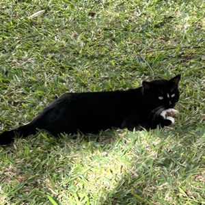 霸凌事件带给我什么正面影响？