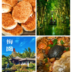 生如夏花Vol.34 散装江苏中的“小透明”,外地青年逃离一线后的日常