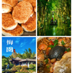 生如夏花Vol.34 散装江苏中的“小透明”，外地青年逃离一线后的日常