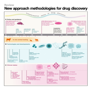 869-The Human-Centric Evolution of Drug Discovery NAMs