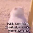 去后山采了把野花