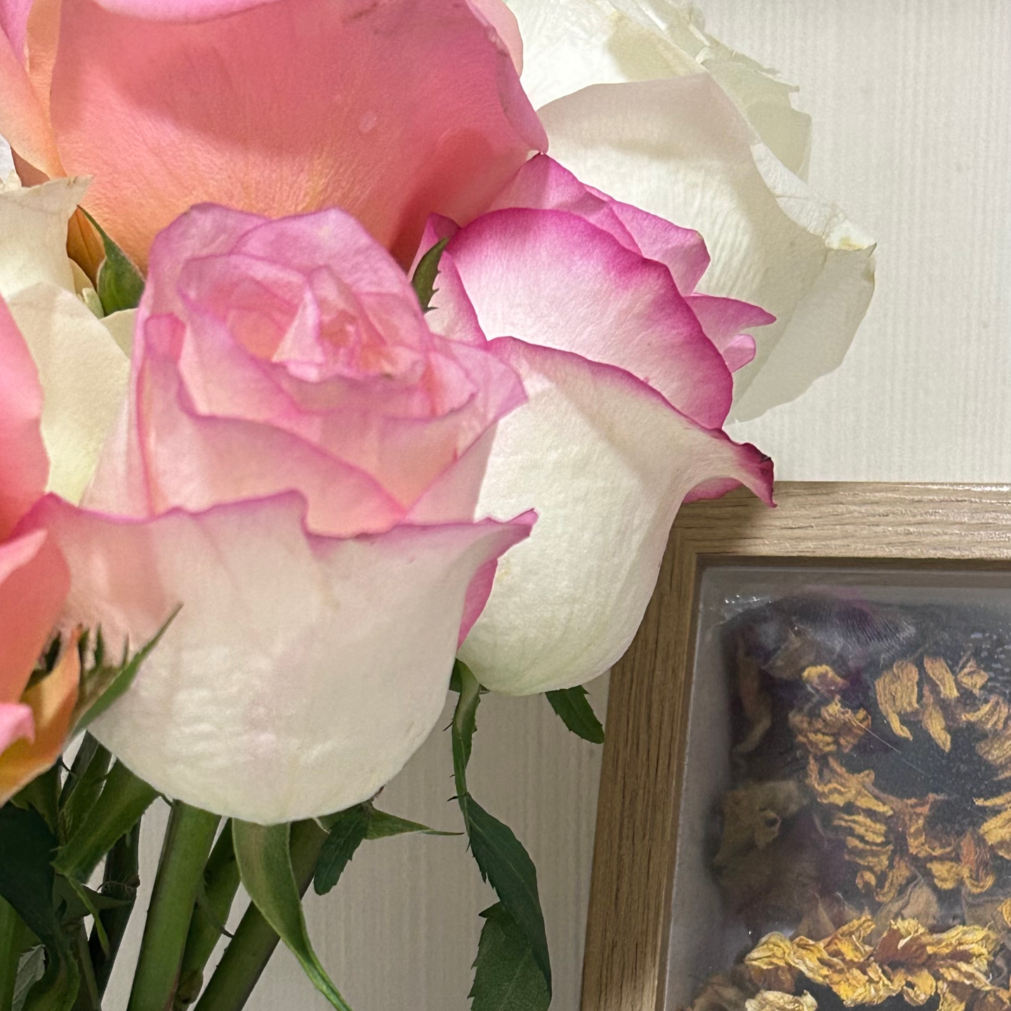 音符漫溢茶话会