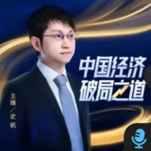 史帆：从马达西奇、TikTok到尼日尔、李嘉诚，维护海外利益有多难（上）