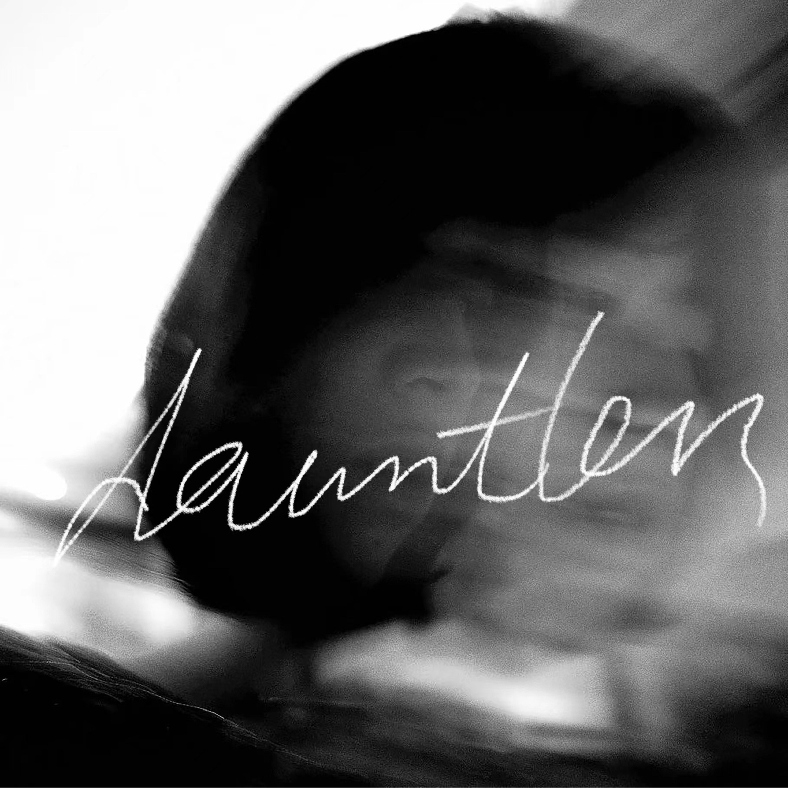 Dauntless｜无畏谈话录