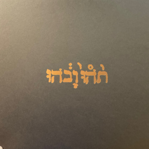 Slow Riot for New Zero Kanada