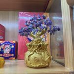 小蝴蝶的奇妙空间