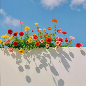 VOL413.会看花的人,就会看云、看月、看星辰,并且在人世中的一切看到智慧。