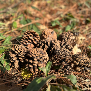 No.004-内耗退散符！下班后如何开启新的一天？