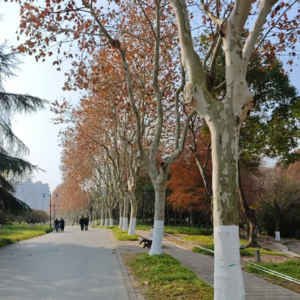 69、A股见顶了吗？关于牛市的十大规律