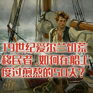19世纪爱尔兰饥荒的移民者，如何在船上度过煎熬的50天？#助眠 #助眠故事 #睡前故事