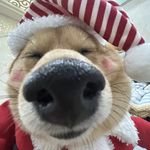 李富贵70680