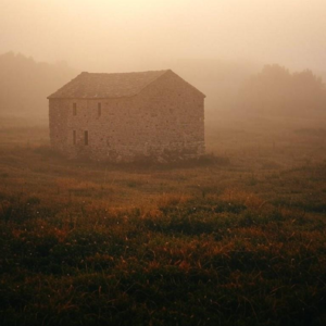 历史的迷雾-2024岁末随想