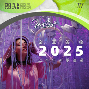 117：【野生乐评】亲耳签收！2025上半年新歌速递
