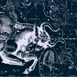 占星读书会 002｜上升金牛♉