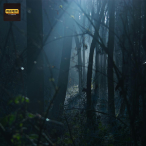 鬼救我，鬼害我，生死罗生门！闹鬼的车比闹鬼的房子闹的凶、与老鼠的恩怨情仇