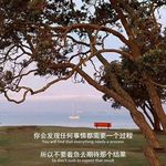 柠咖海橙