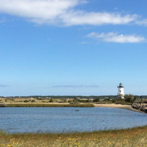 ep65 | 为什么孩子不愿敞开心扉?父母该如何回应孩子的脆弱时刻