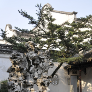 155 苏州园林 狮子林1