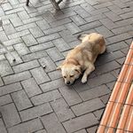 如果回到16年