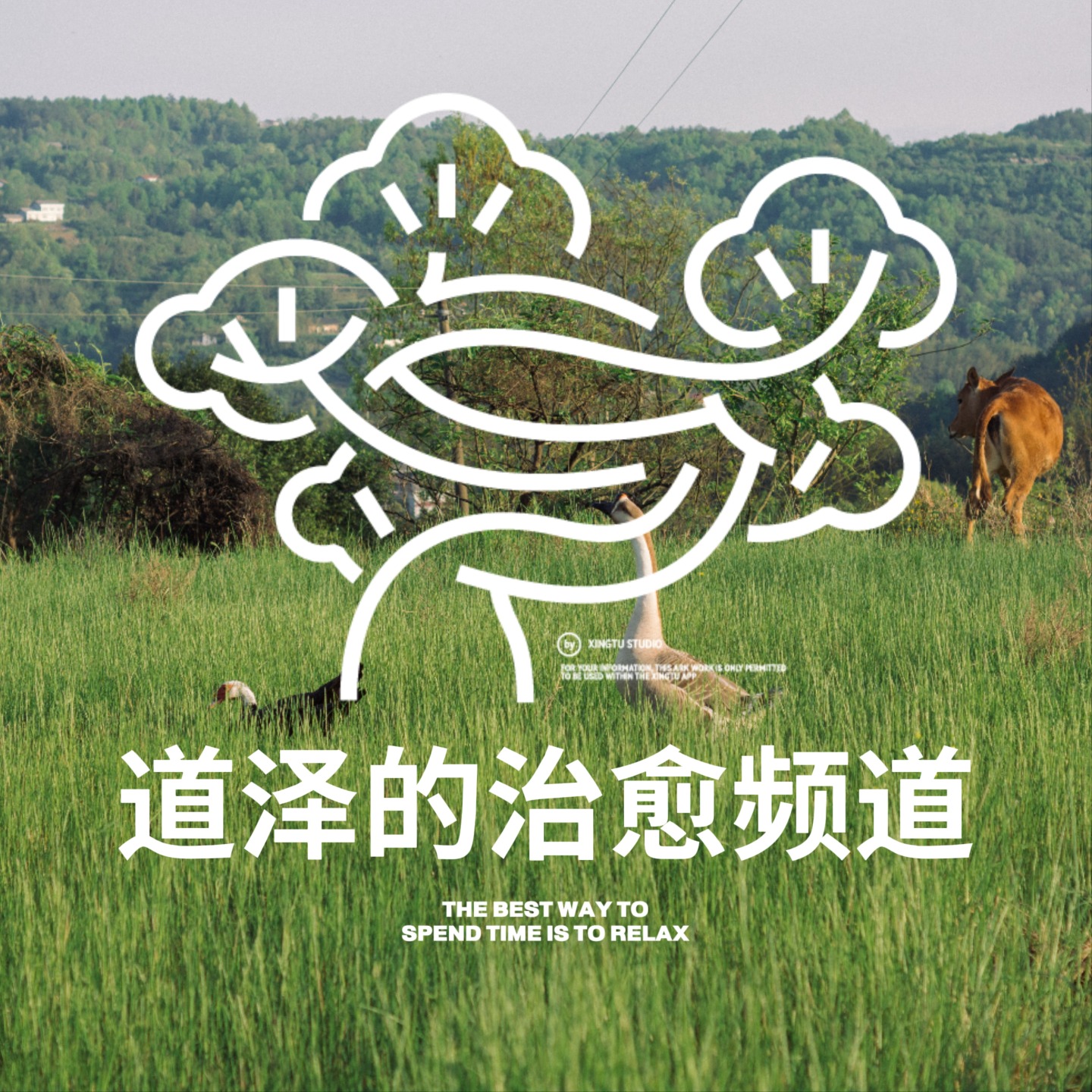 道泽的治愈频道