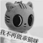 一只松喵喵