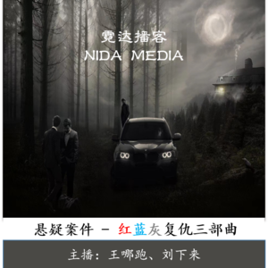 57. “红蓝灰”复仇三部曲