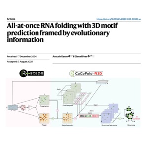 215-CaCoFold-R3D for predicting RNA structure