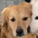 确认过眼神_4co0