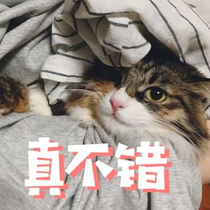 猫毛有三种颜色