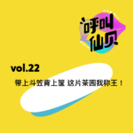 vol.22带上斗笠背上筐，这片茶园我称王！