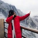 考拉爱曲奇