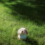 80后新锐院士张院士