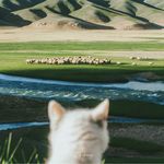 进击中的卢摩斯