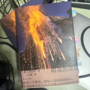 #24狠书解构《明亮的夜晚》2万人打出 9.0 高分的韩国女性文学是如何屹立于世界女性文学之巅的
