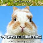 圆明园抓鱼小能手