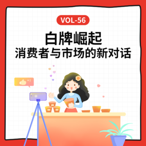 Vol-56 白牌,真性价比还是山寨货?