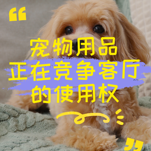 宠物用品正在竞争客厅的使用权