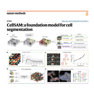 366-CellSAM: A Foundation Model for Cell Segmentation