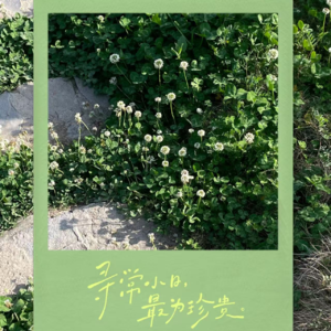 015-恍惚对世界，笔直对内心