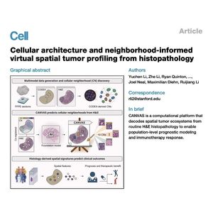 1307-CANVAS: AI-Driven Spatial Profiling